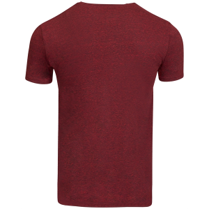 Threadfast Apparel Unisex Triblend Short-Sleeve T-Shirt